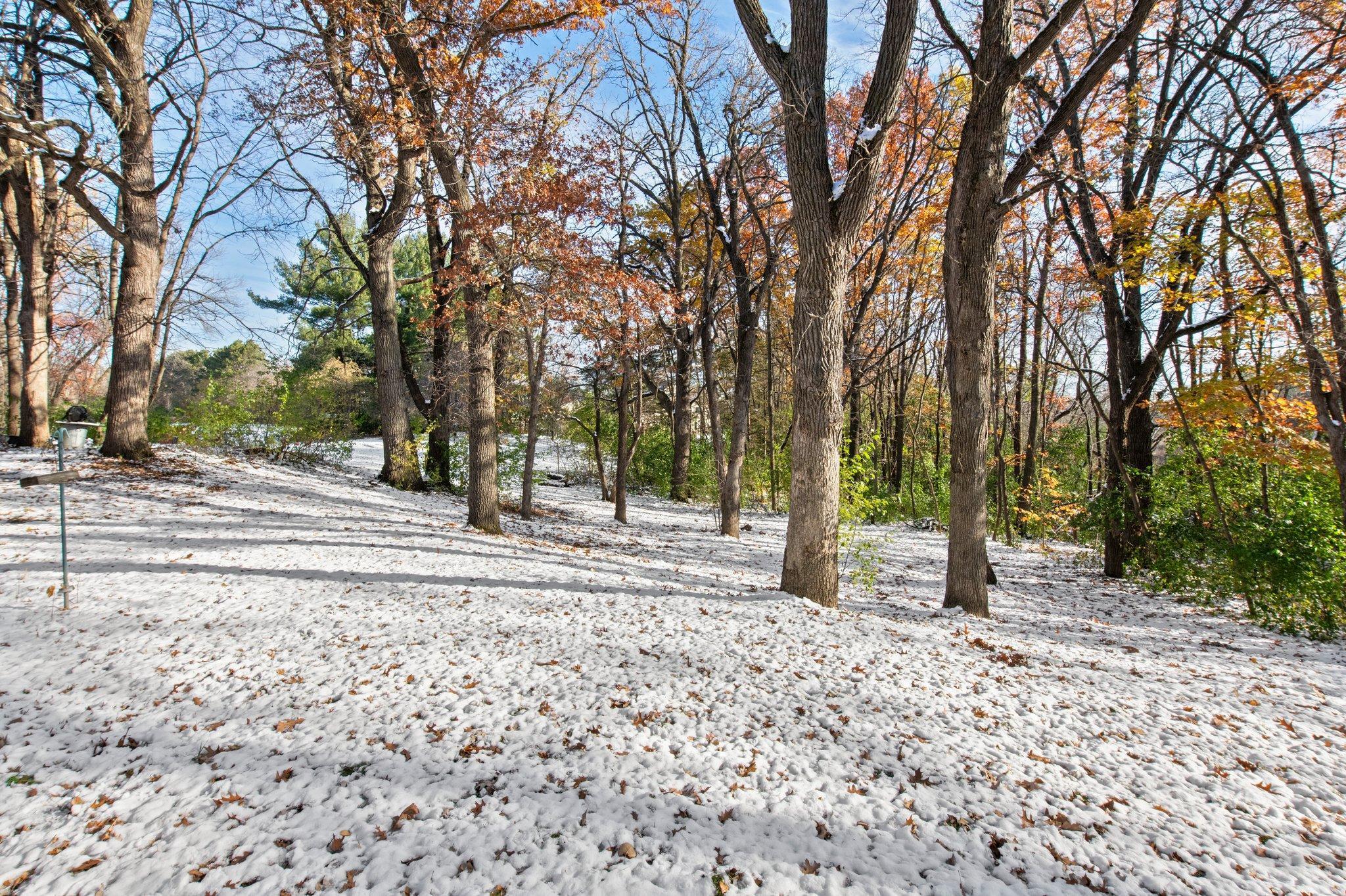 21145 Fondant Avenue, Forest Lake, Minnesota image 17