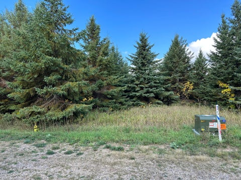 Vacant Land For Sale - 26799 Lidstrom Road<br/> Becker County, Detroit Lakes, MN 56501