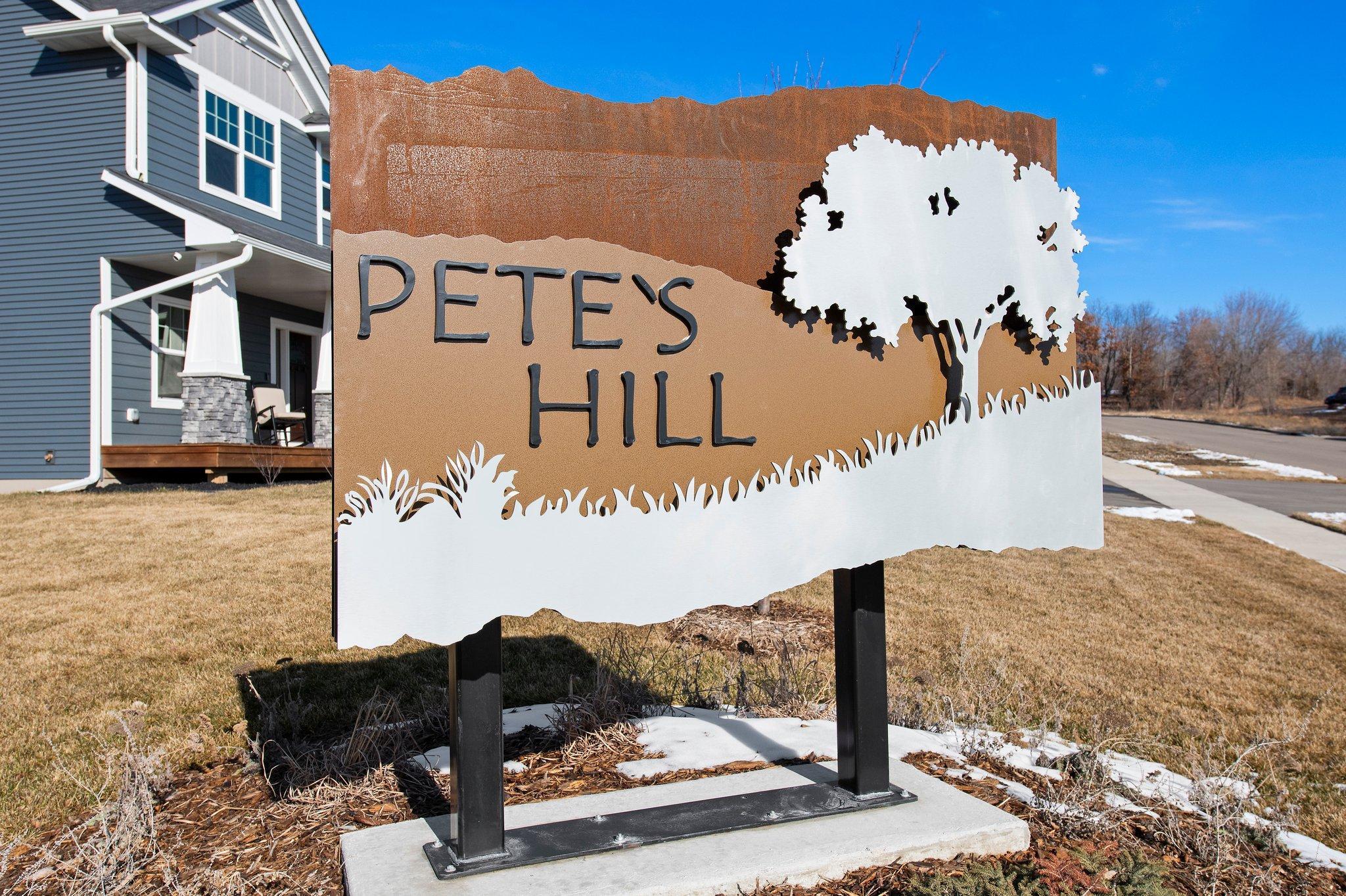 27211 Petes Hill Trail, Elko New Market, Minnesota image 2