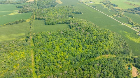 Vacant Land For Sale - Moritz Lane<br/> Pepin County, Arkansaw, WI 54721
