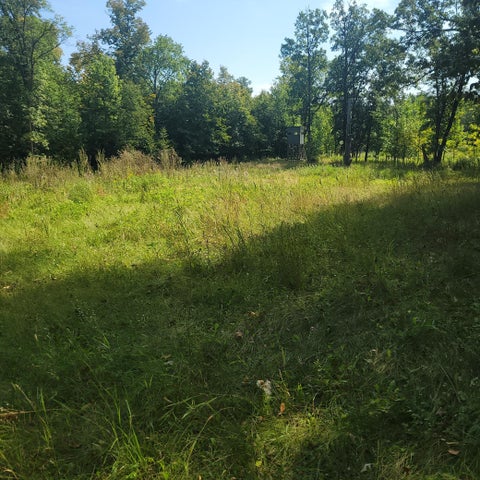 Vacant Land For Sale - TBD Jeff Lake Road<br/> Otter Tail County, Richville, MN 56576
