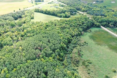 Vacant Land For Sale - TBD 230th Avenue<br/> Fergus Falls, MN 56537