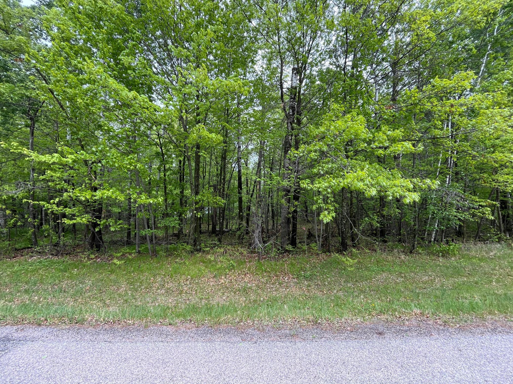 10583 E Shore Drive, Merrifield, Minnesota image 3