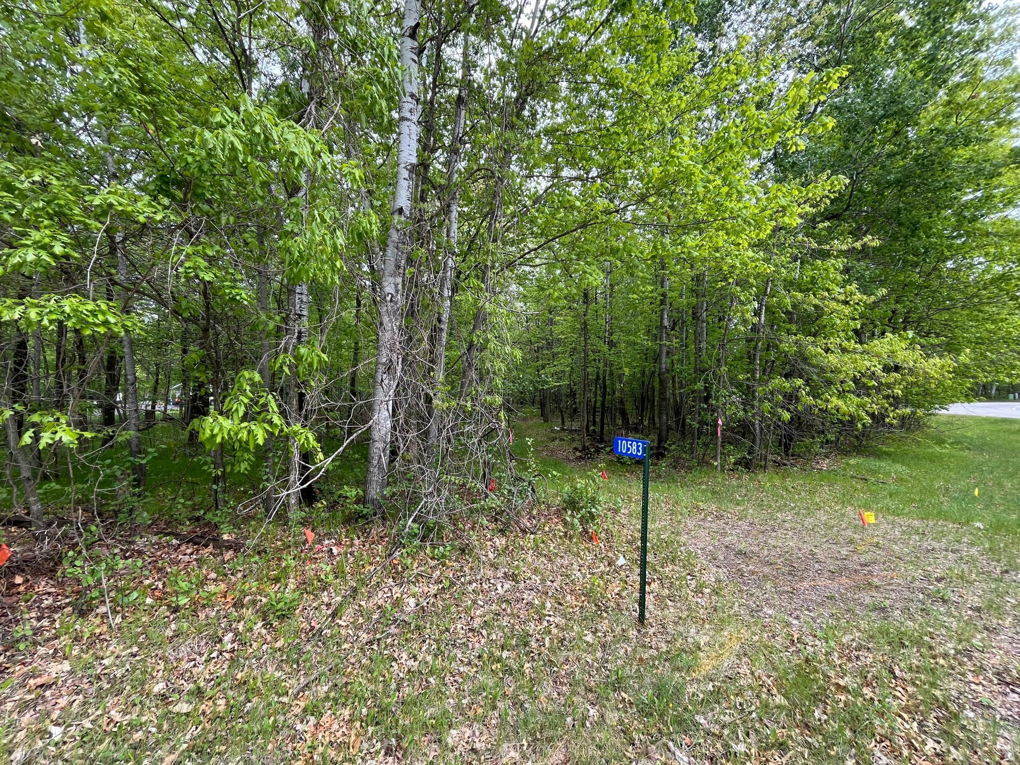 10583 E Shore Drive, Merrifield, Minnesota image 4