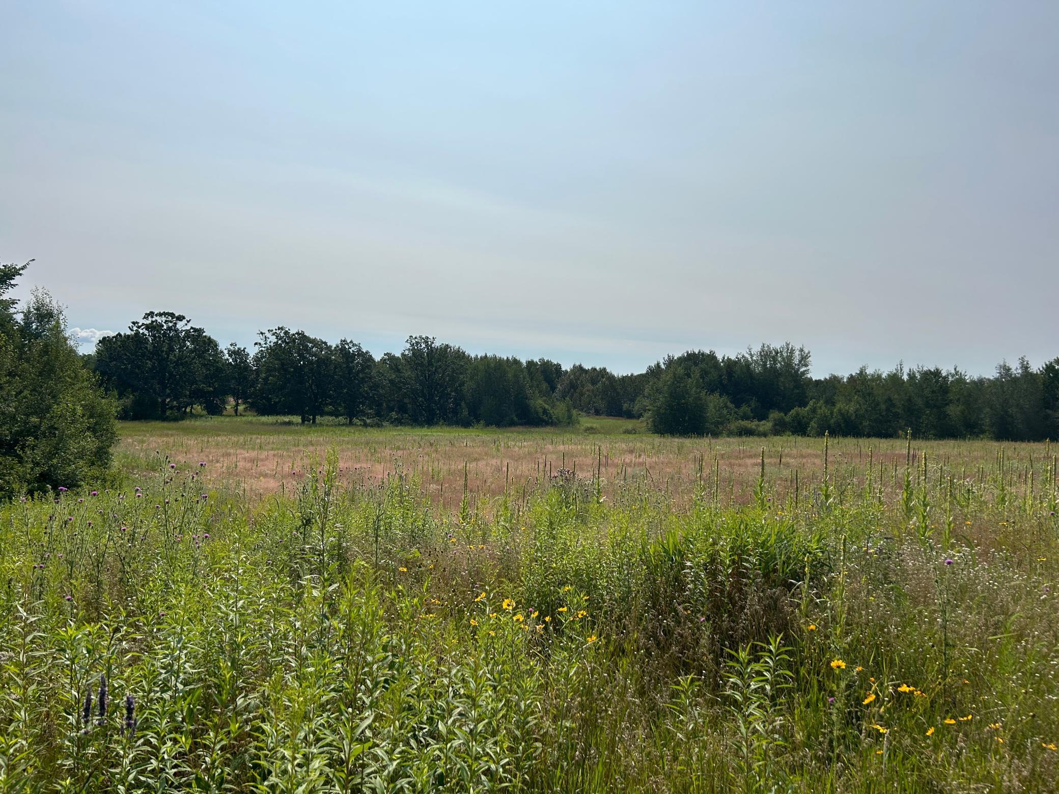 XXX County Road 66, Staples, Minnesota image 30