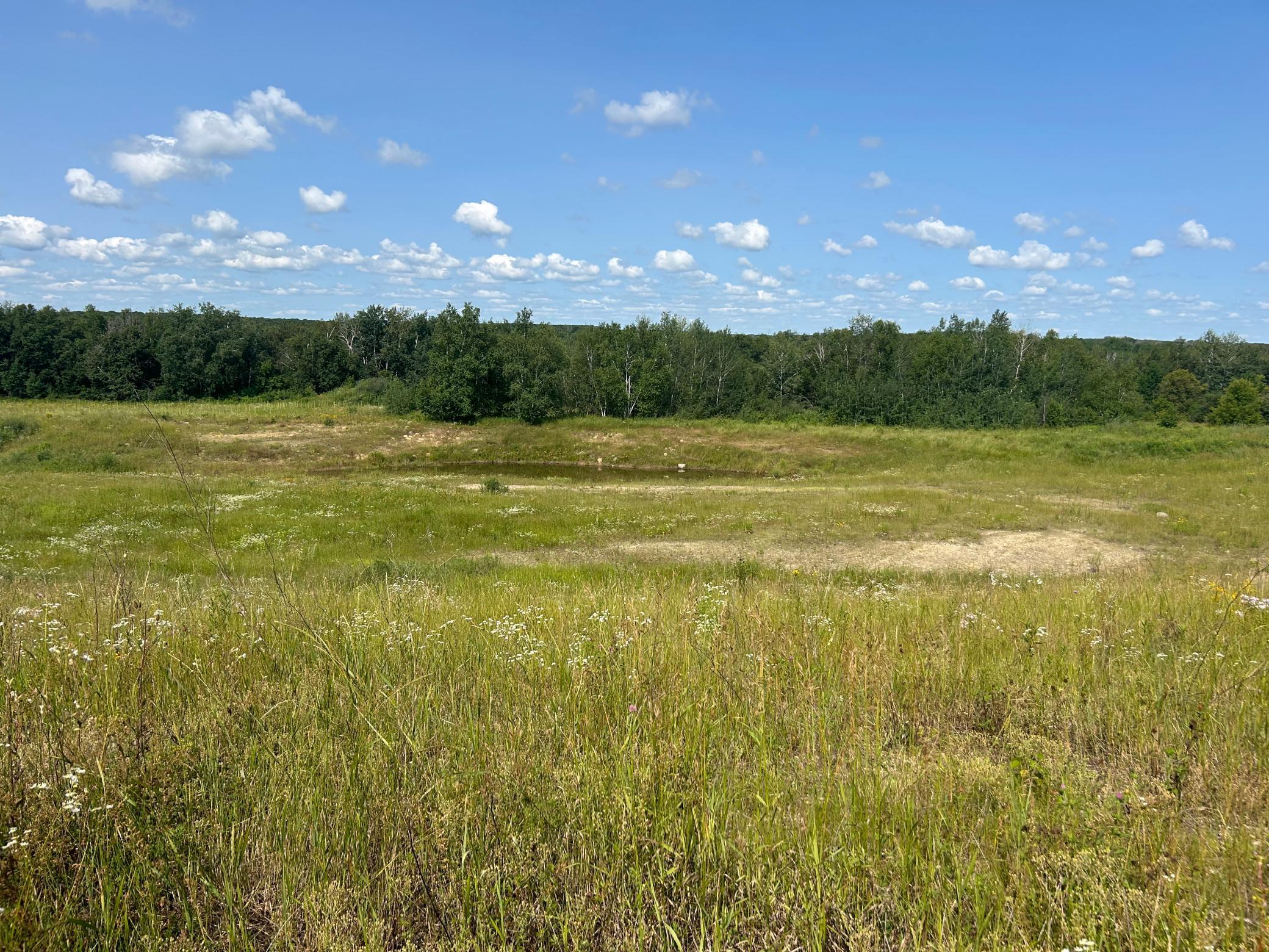 XXX County Road 66, Staples, Minnesota image 15