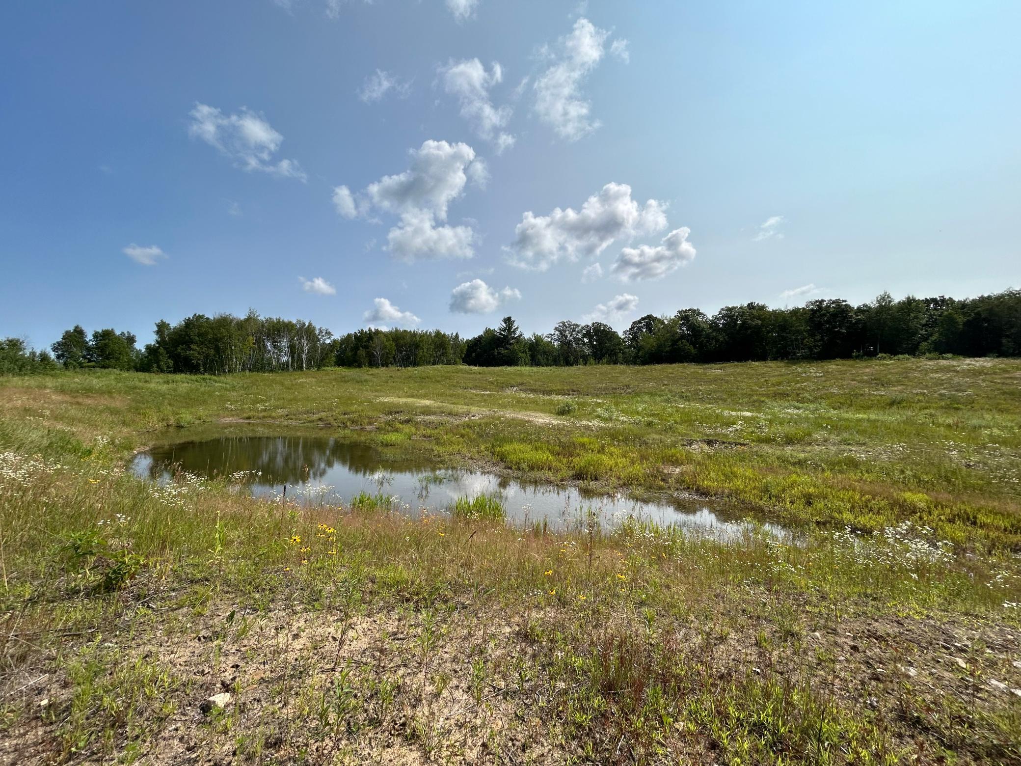 XXX County Road 66, Staples, Minnesota image 17