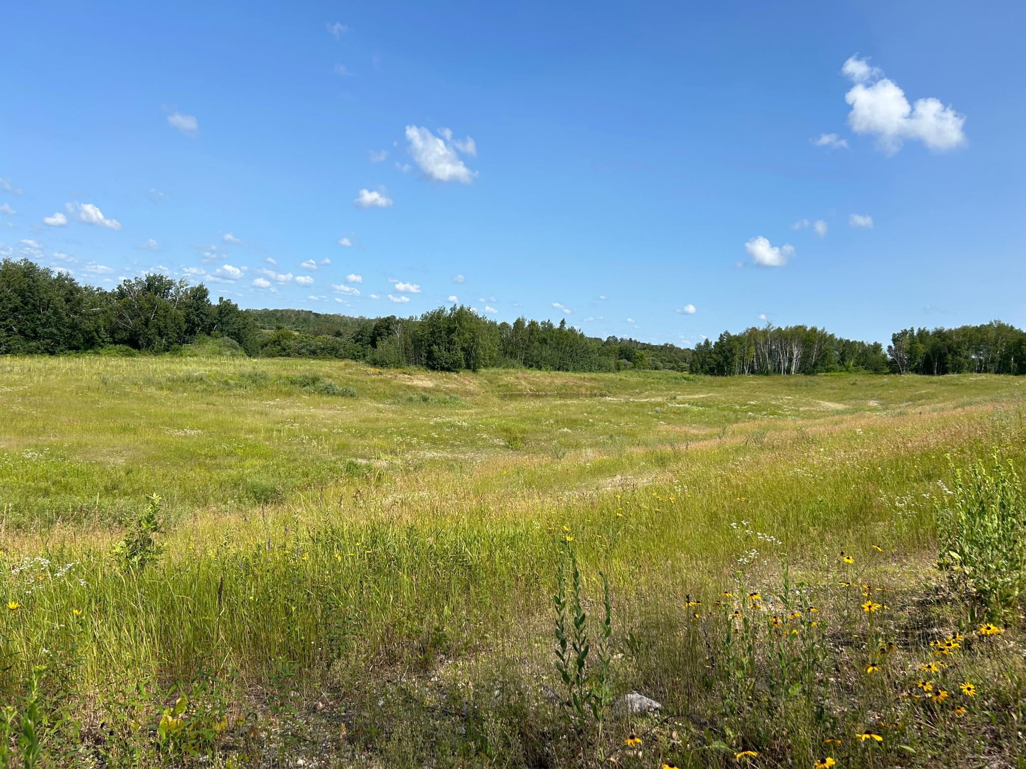 XXX County Road 66, Staples, Minnesota image 16