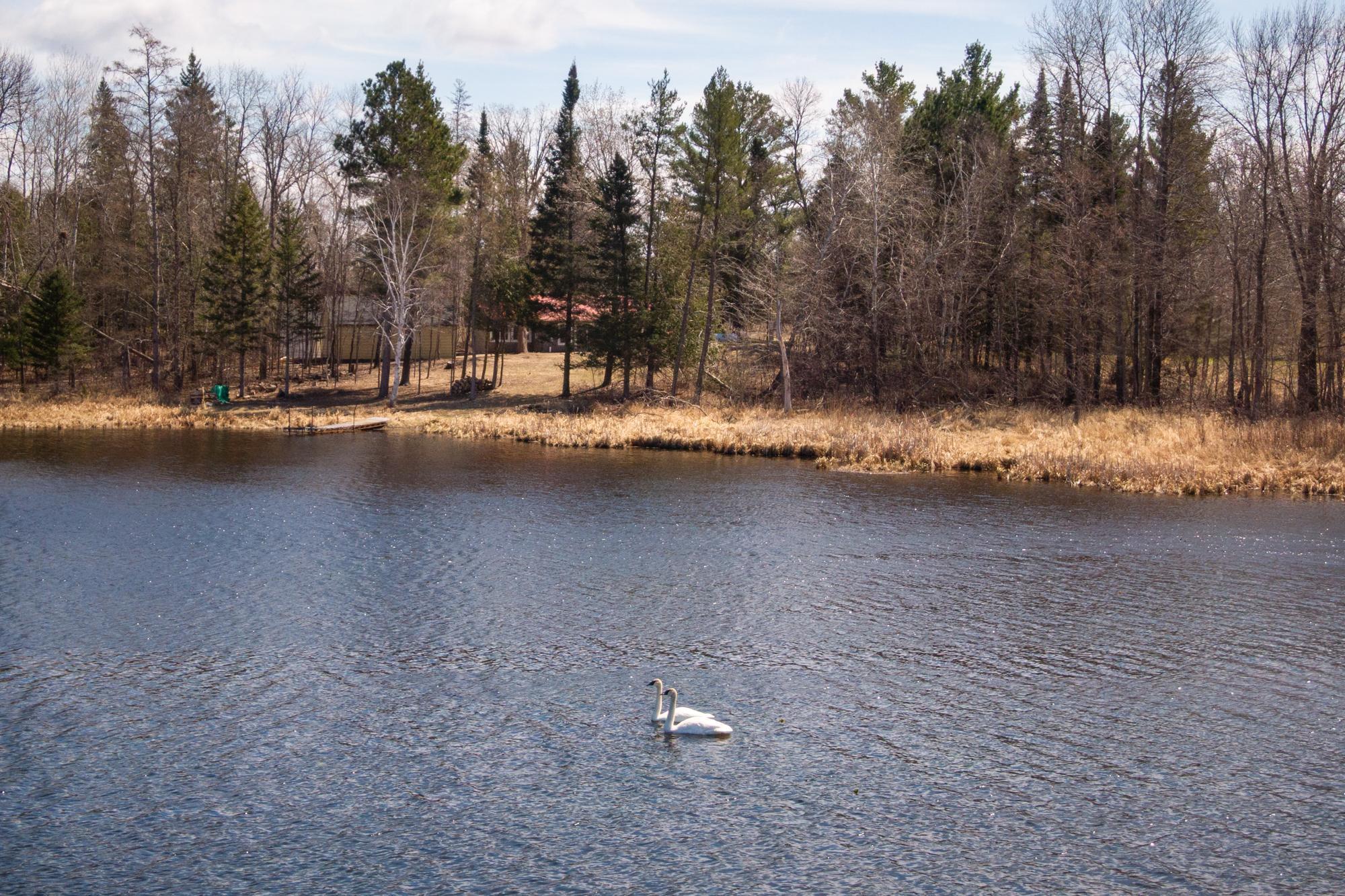 2182 County 46, Hackensack, Minnesota image 8