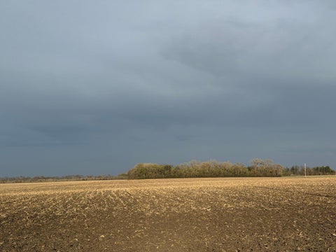 Vacant Land For Sale - 3544 250th Street<br/> Dawson, MN 56232