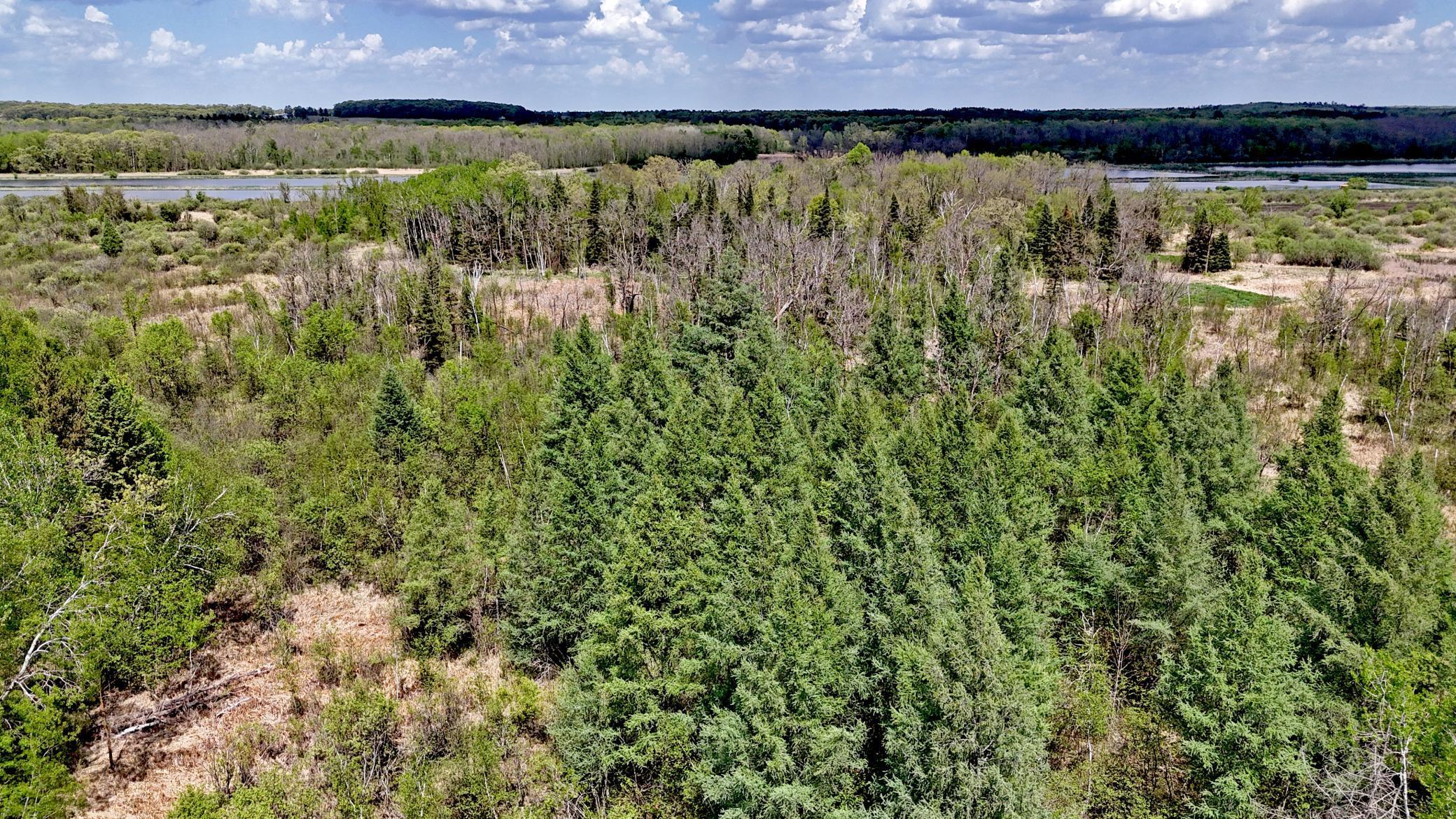 TBD Corner Trail Road, Fort Ripley, Minnesota image 21