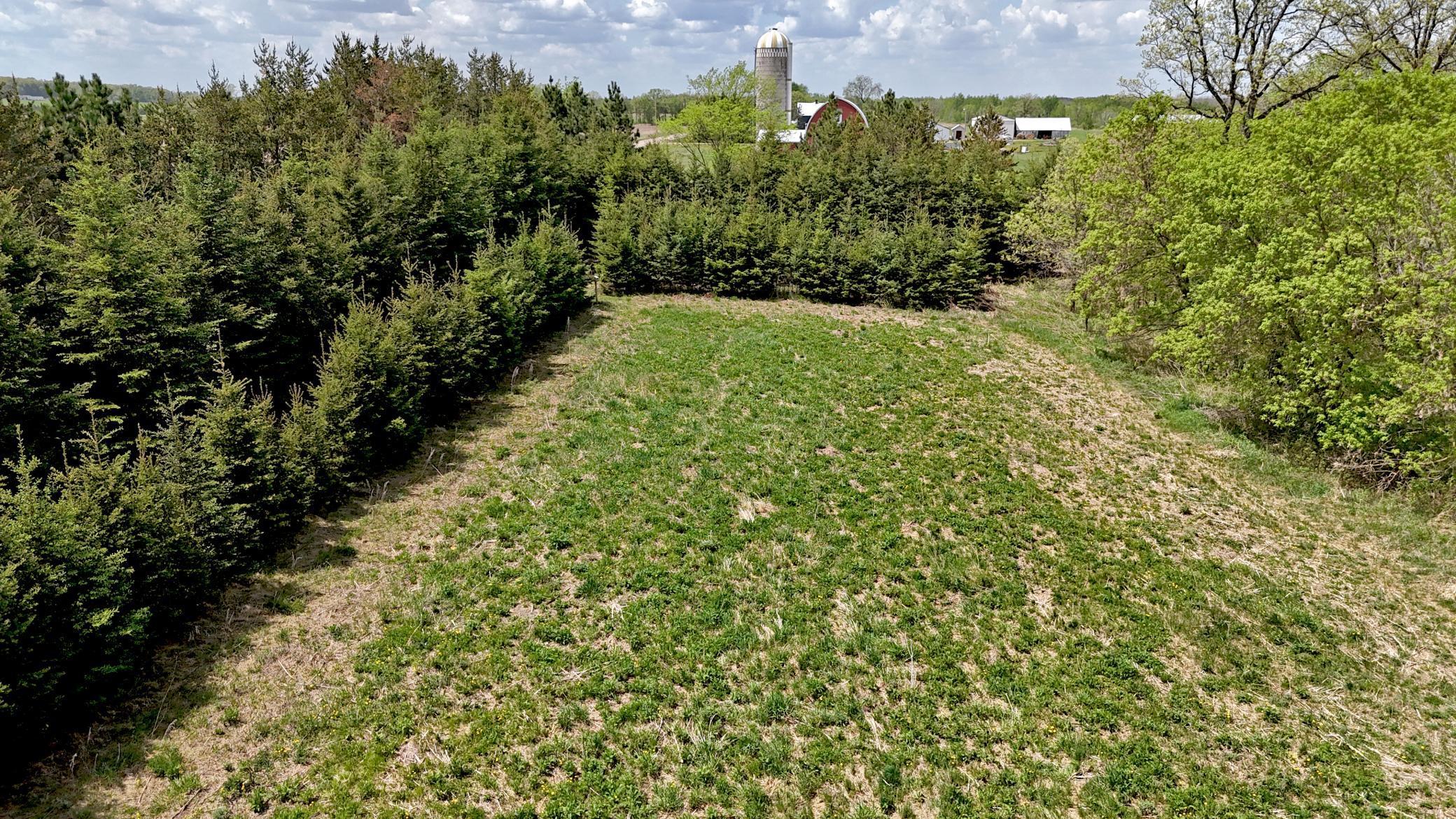 TBD Corner Trail Road, Fort Ripley, Minnesota image 5