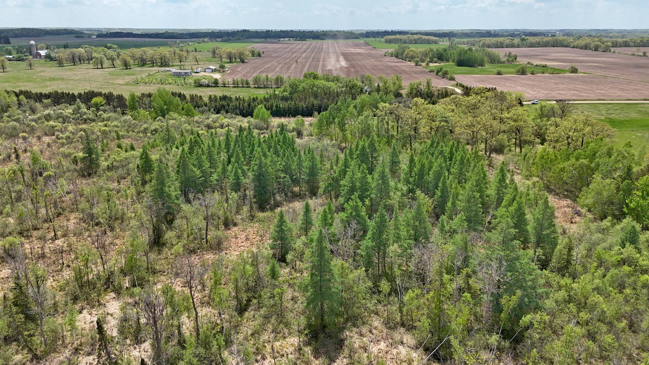 TBD Corner Trail Road, Fort Ripley, Minnesota image 22