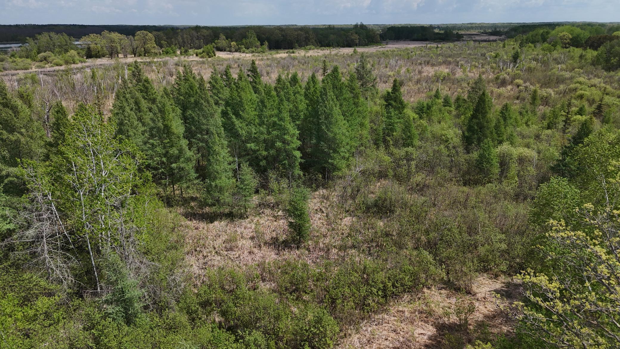 TBD Corner Trail Road, Fort Ripley, Minnesota image 15