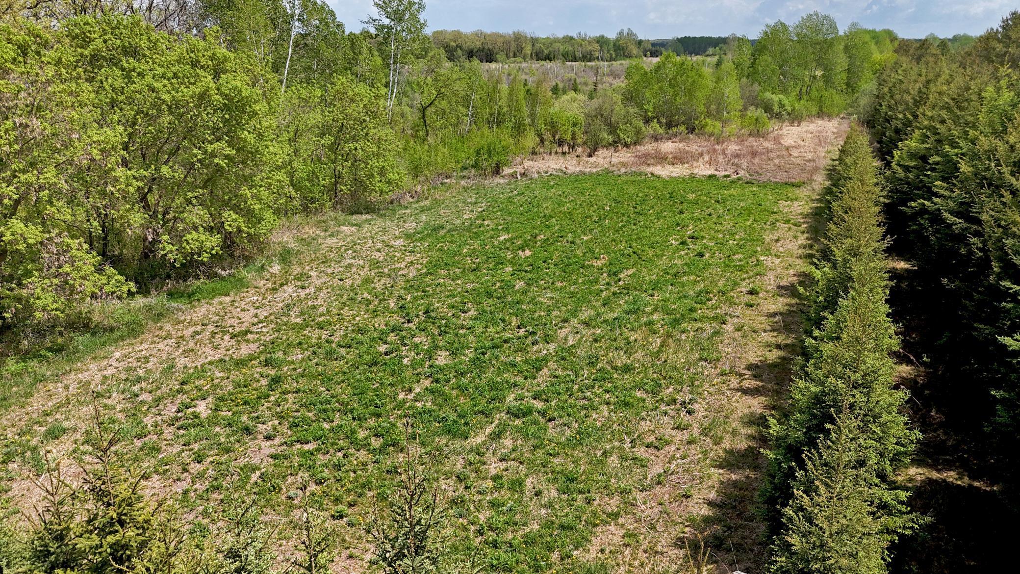 TBD Corner Trail Road, Fort Ripley, Minnesota image 10