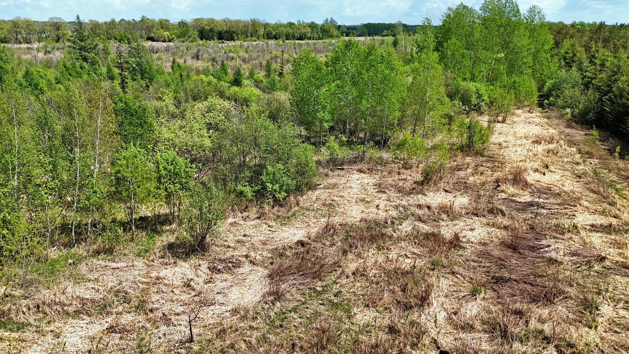 TBD Corner Trail Road, Fort Ripley, Minnesota image 23