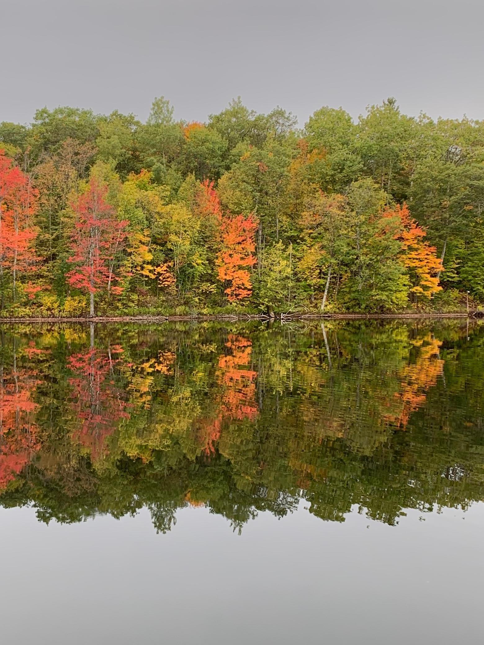 Xxx Tanager Trail, Hayward, Wisconsin image 6