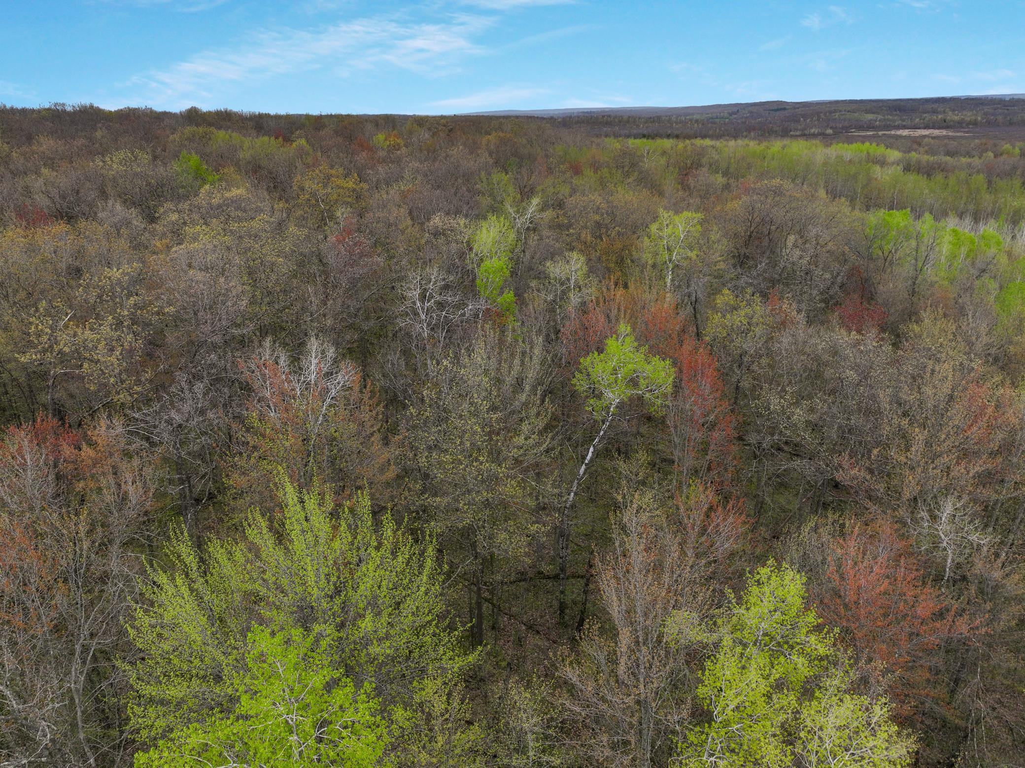 Lot 3 11th Ave, Chetek, Wisconsin image 15