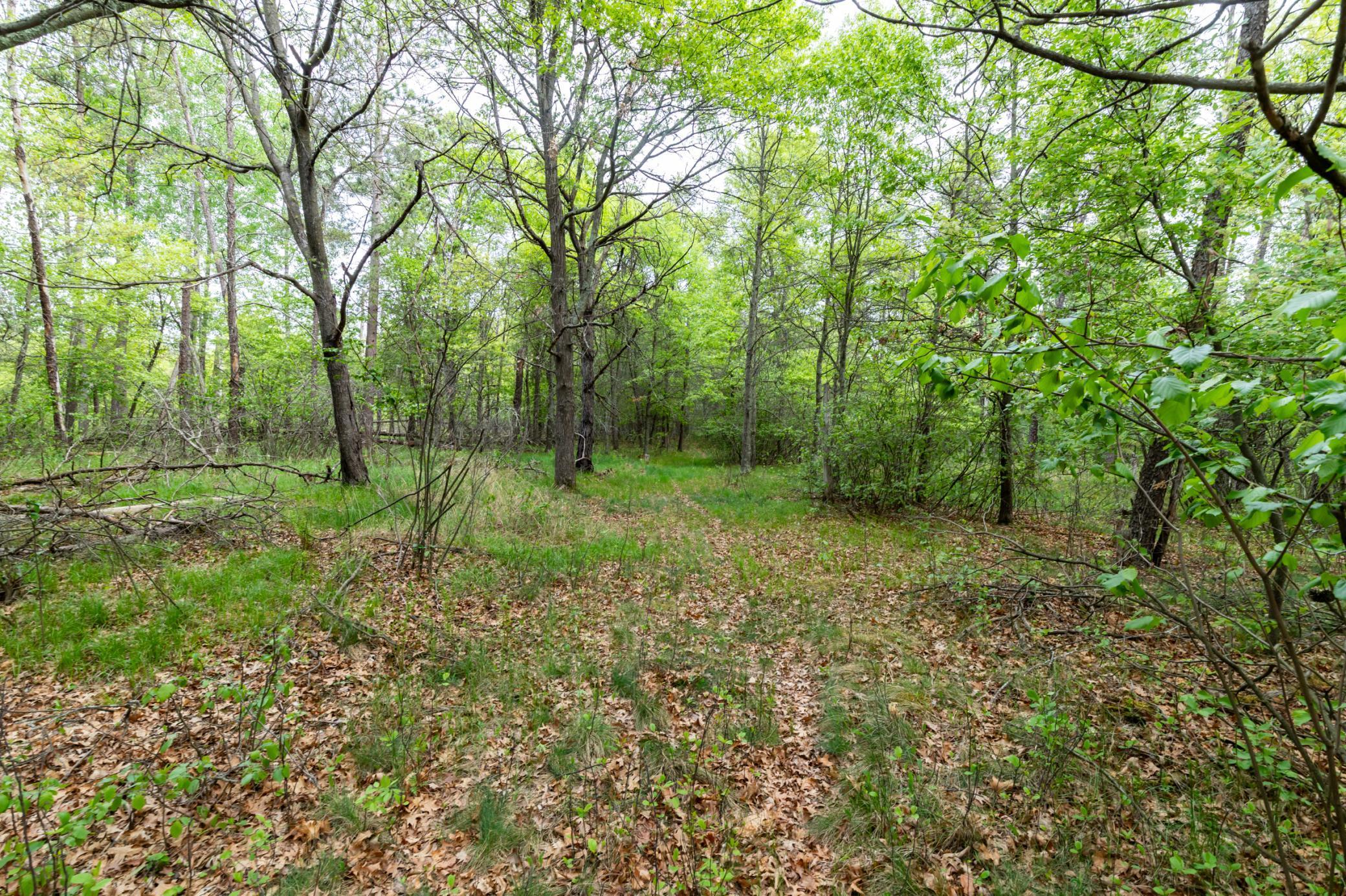 5394 Clearwater Road, Baxter, Minnesota image 9