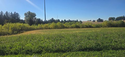 Vacant Land For Sale - TBD ( LOT 1 BLK 1) 3rd Avenue<br/> Harmony, MN 55939