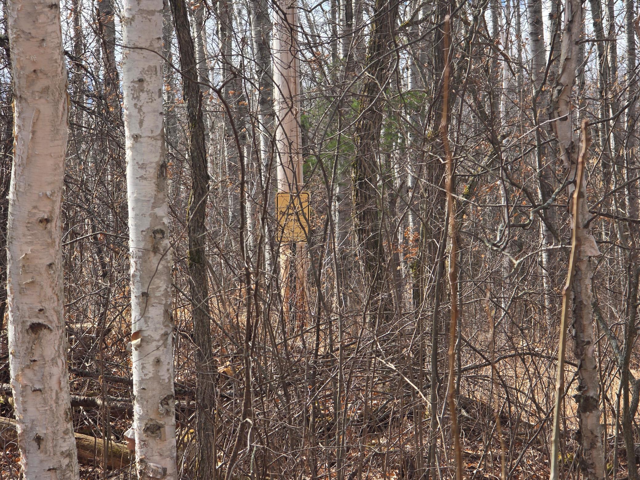 Xxxx Jengeough Road, Ironton, Minnesota image 7