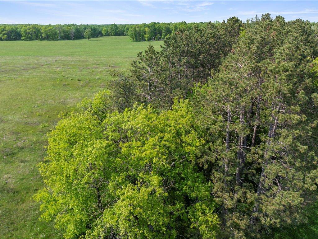 18696 Greer Lake Road, Crosby, Minnesota image 9