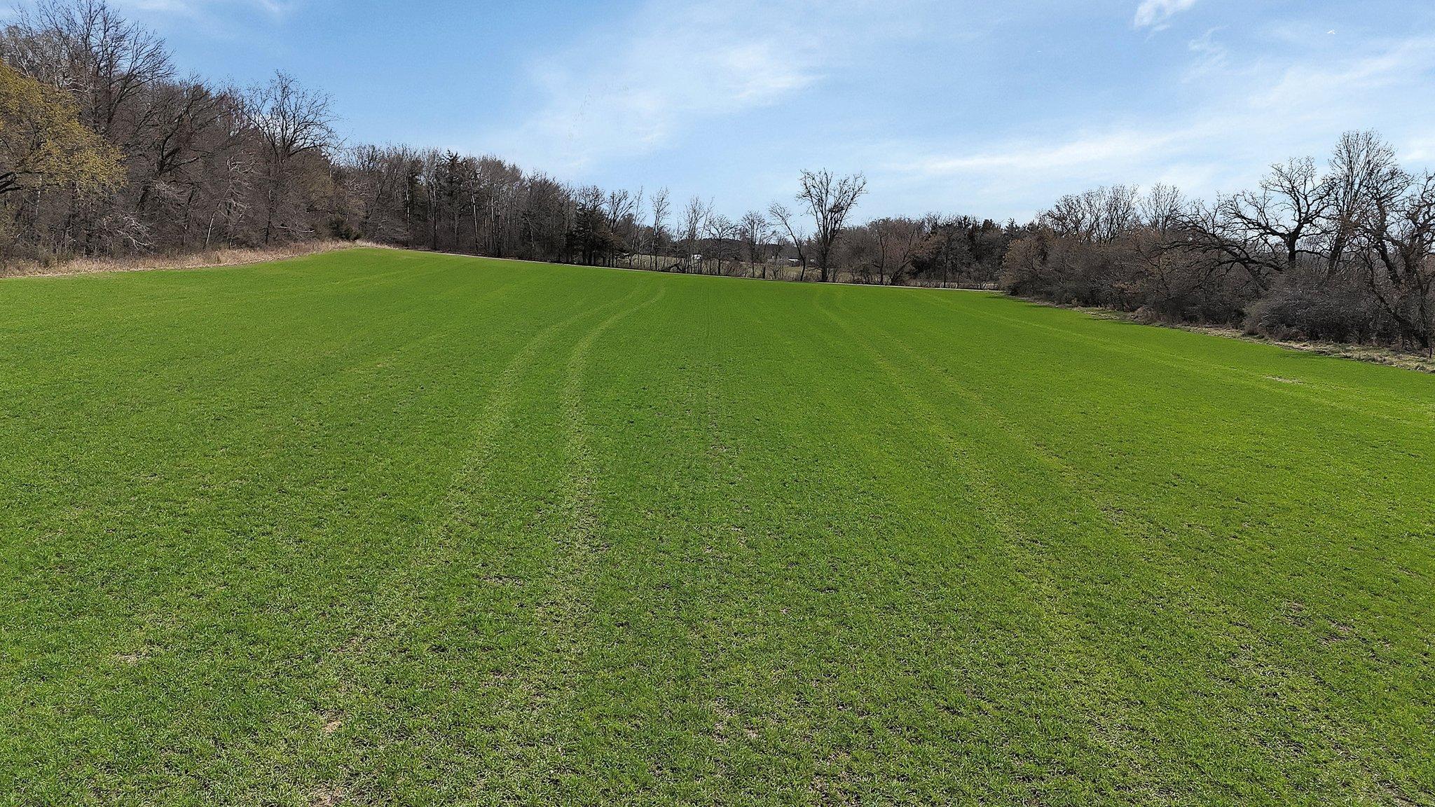 XXX Huber Avenue, Clearwater, Minnesota image 15