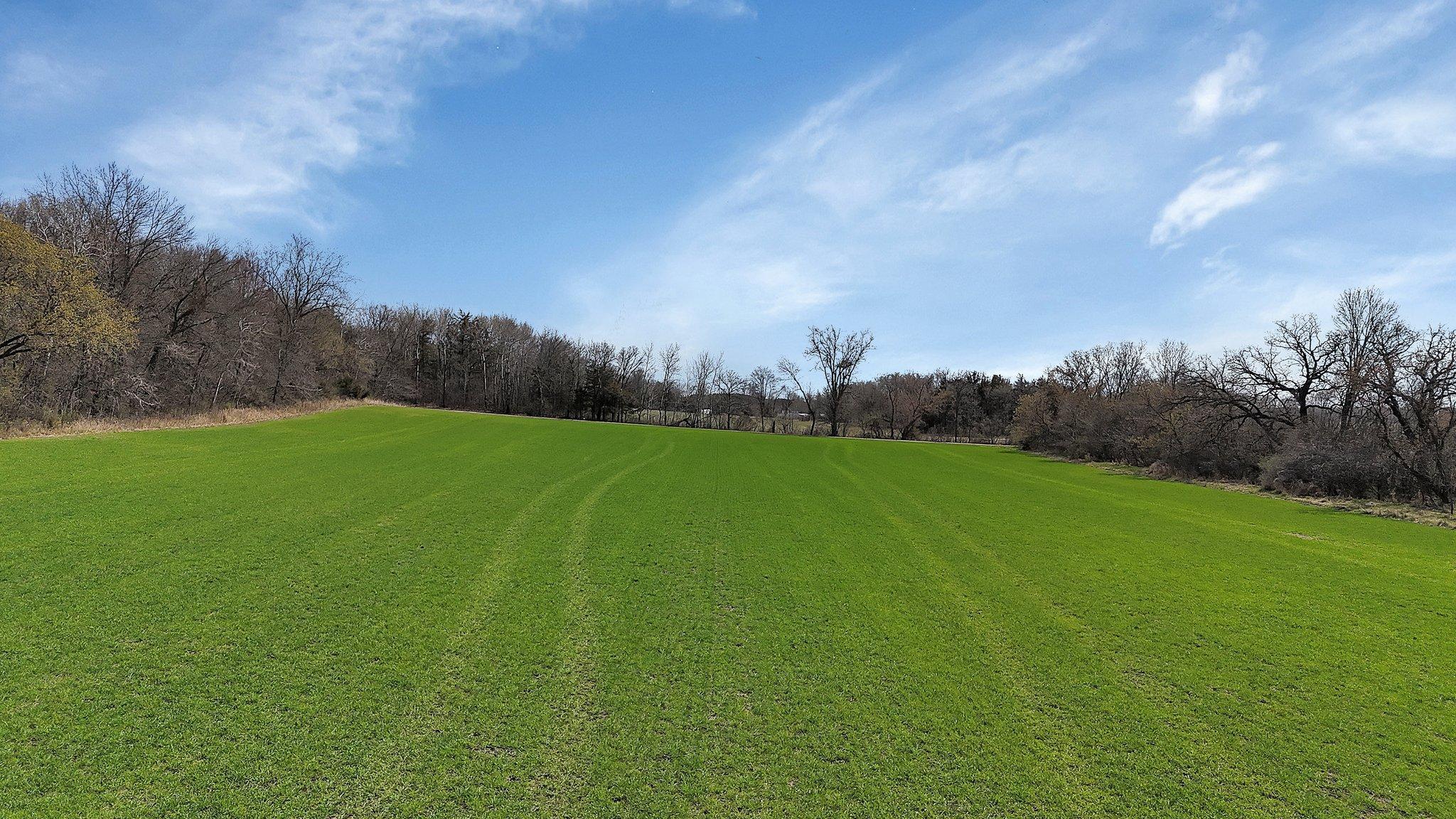 XXX Huber Avenue, Clearwater, Minnesota image 14