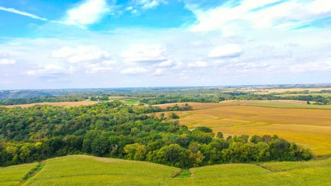 Vacant Land For Sale - TBD Dump Hill<br/> Houston County, Rushford, MN 55971