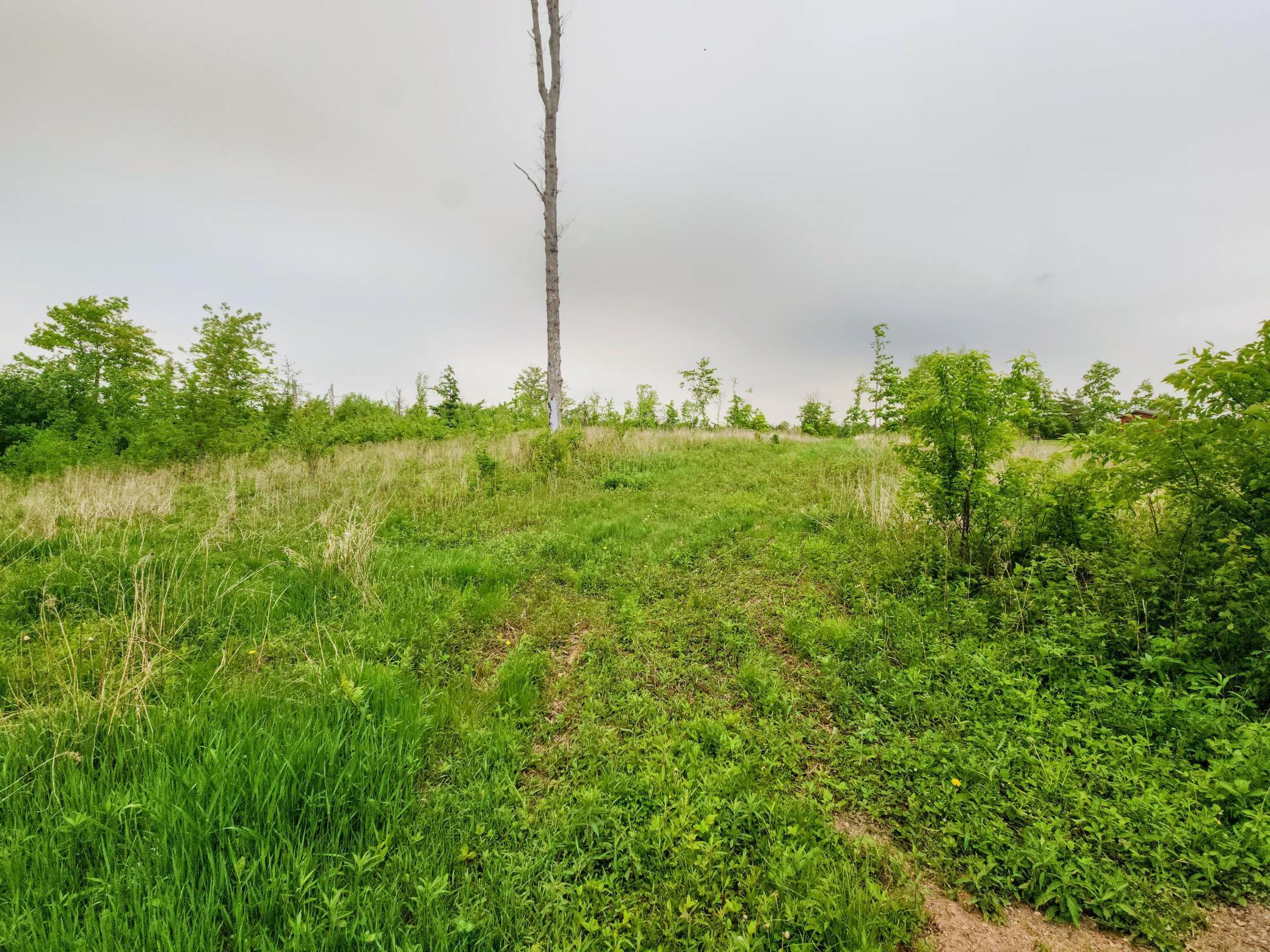 10B 1 1/4 Street, Turtle Lake, Wisconsin image 3