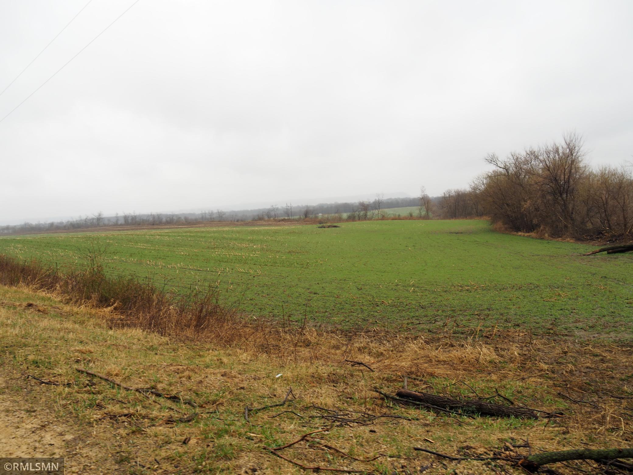 Xxxx Territorial Road Trail, Lake City, Minnesota image 4