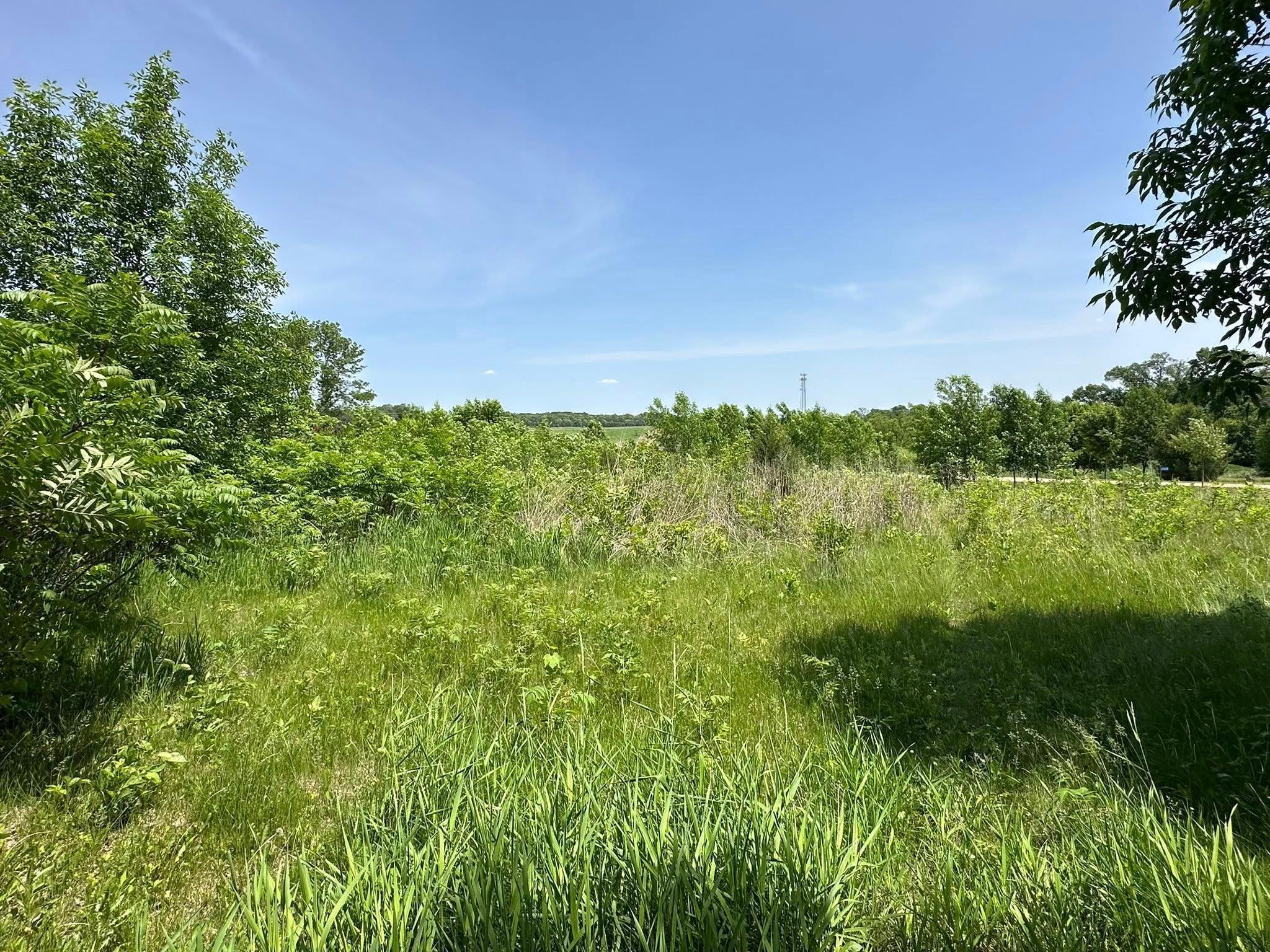 29036 Biehn Drive, Madison Lake, Minnesota image 5