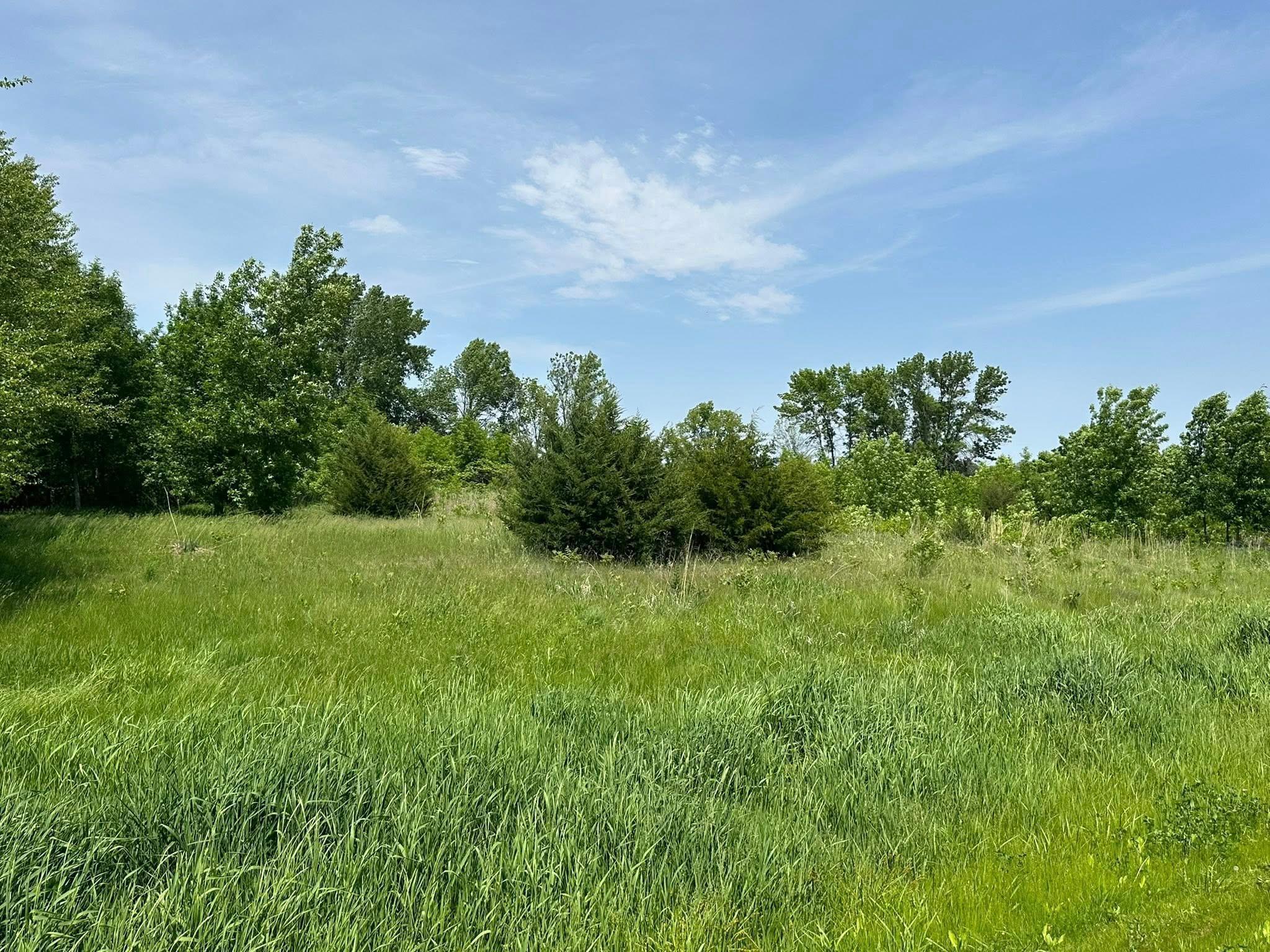 29036 Biehn Drive, Madison Lake, Minnesota image 3