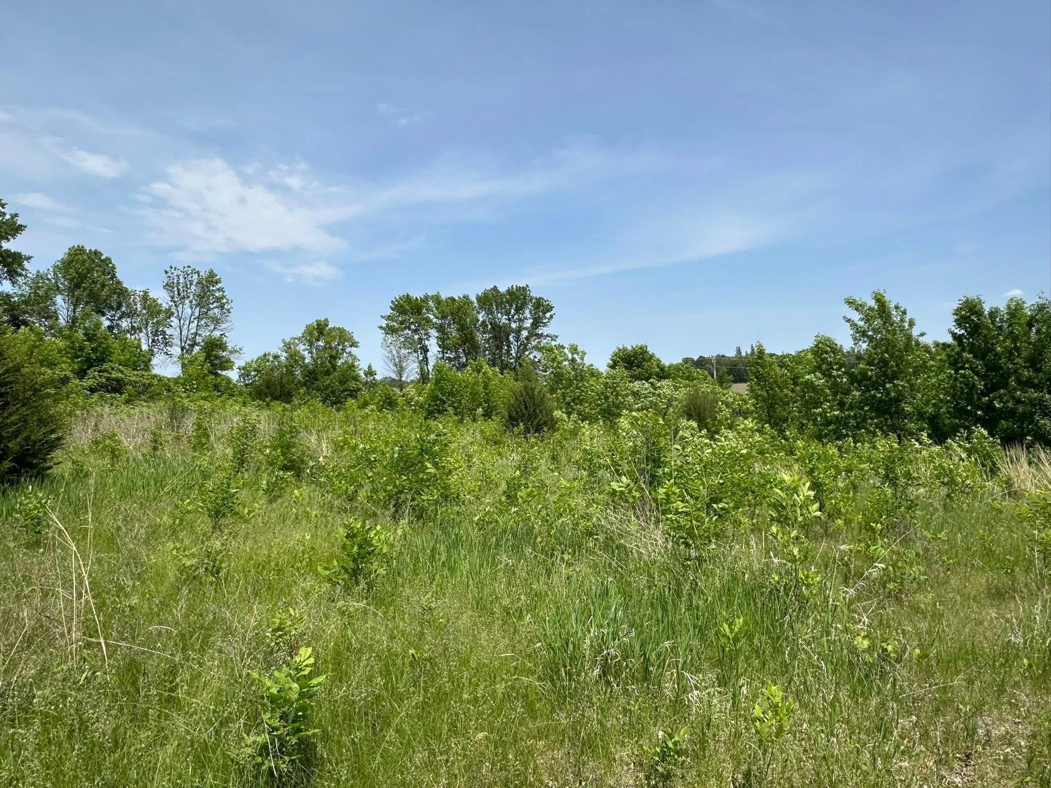 29036 Biehn Drive, Madison Lake, Minnesota image 6
