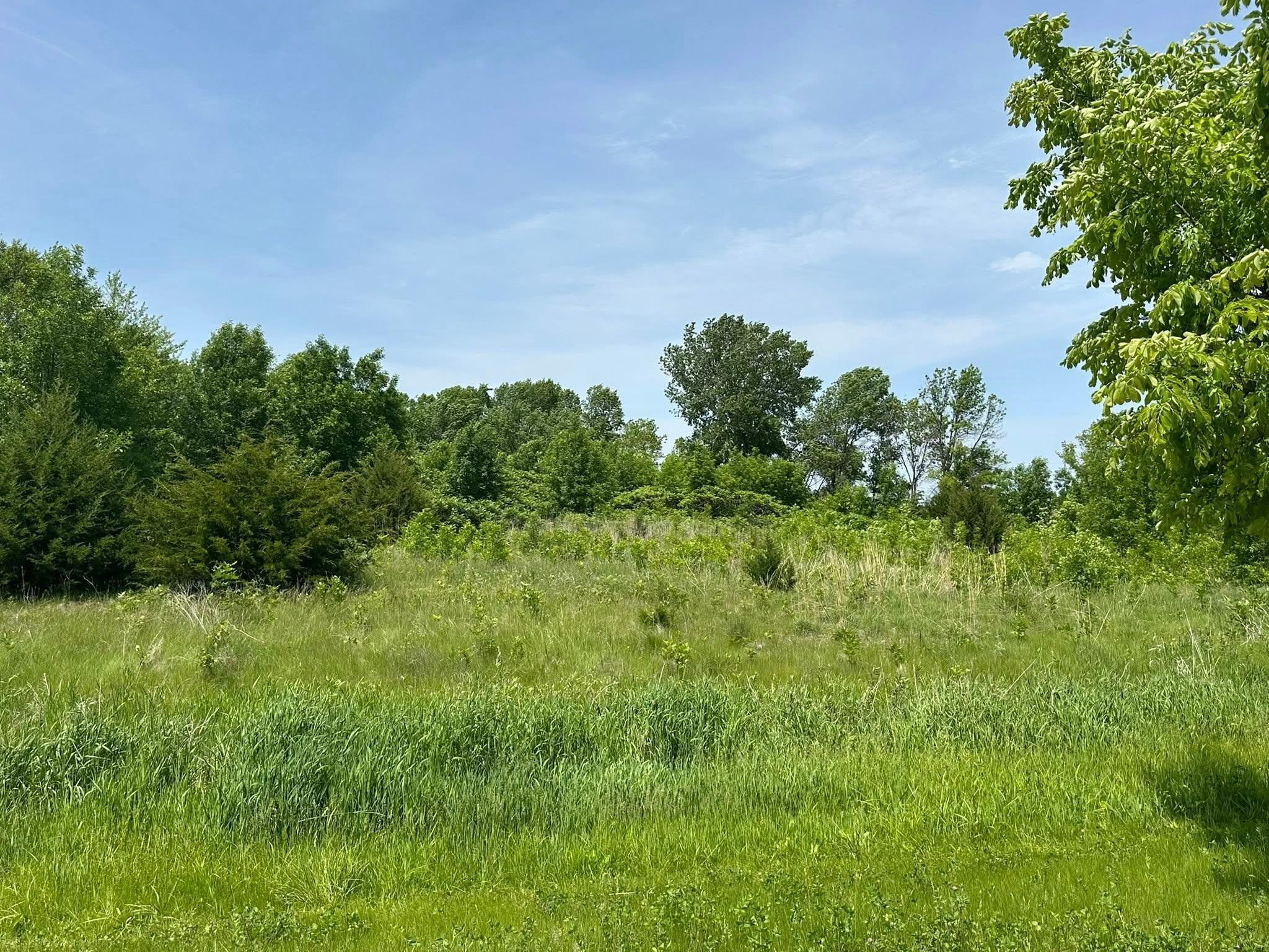 29036 Biehn Drive, Madison Lake, Minnesota image 4