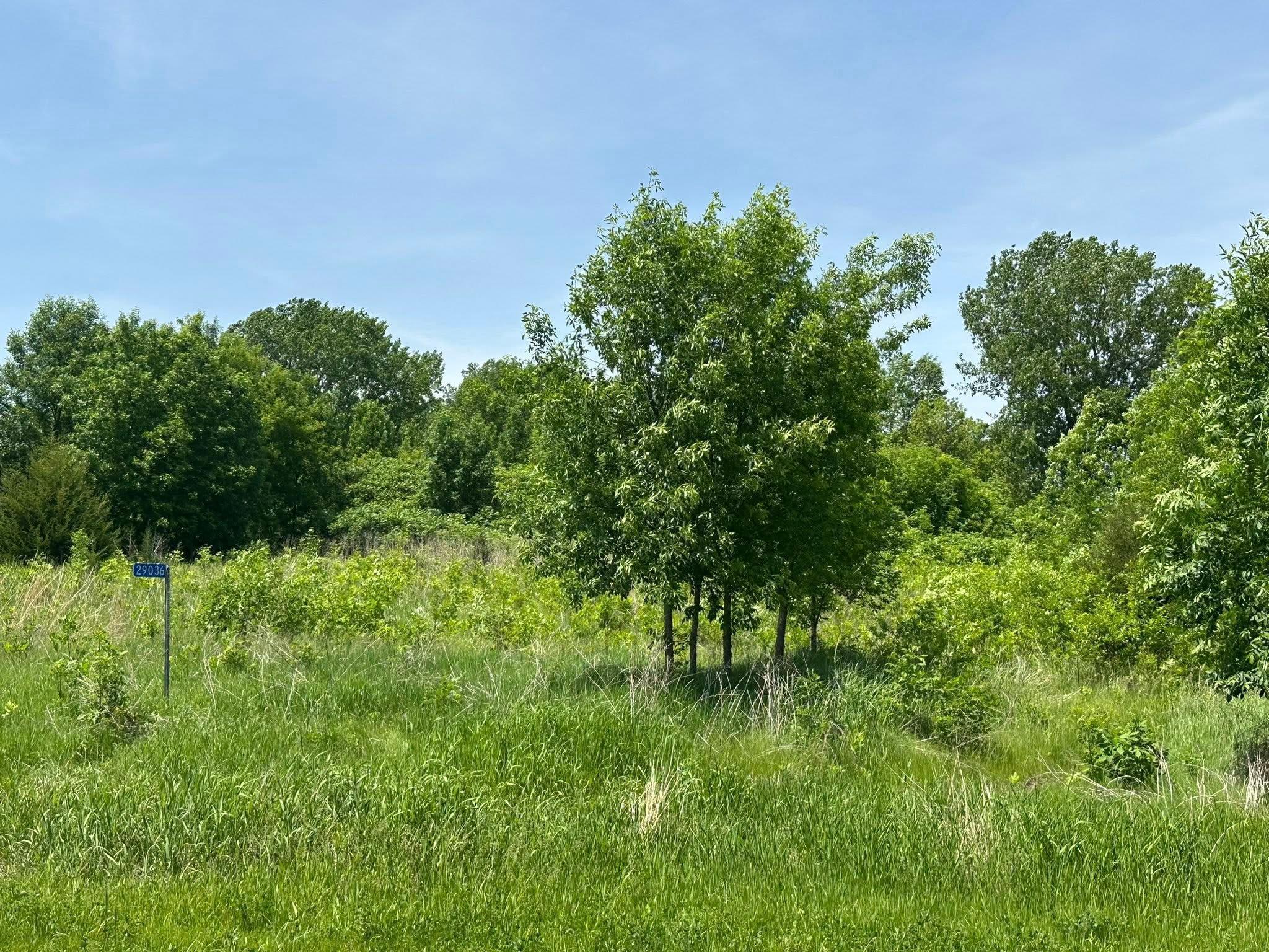 29036 Biehn Drive, Madison Lake, Minnesota image 1
