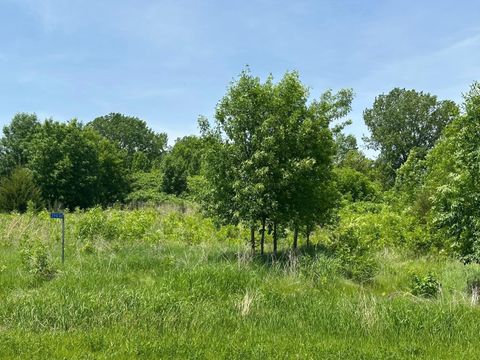 Vacant Land For Sale - 29036 Biehn Drive<br/> Madison Lake, MN 56063