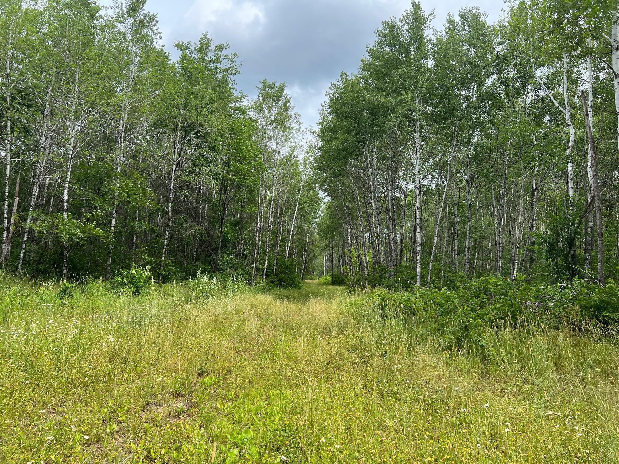 W37XX Frog Creek Road, Minong, Wisconsin image 32