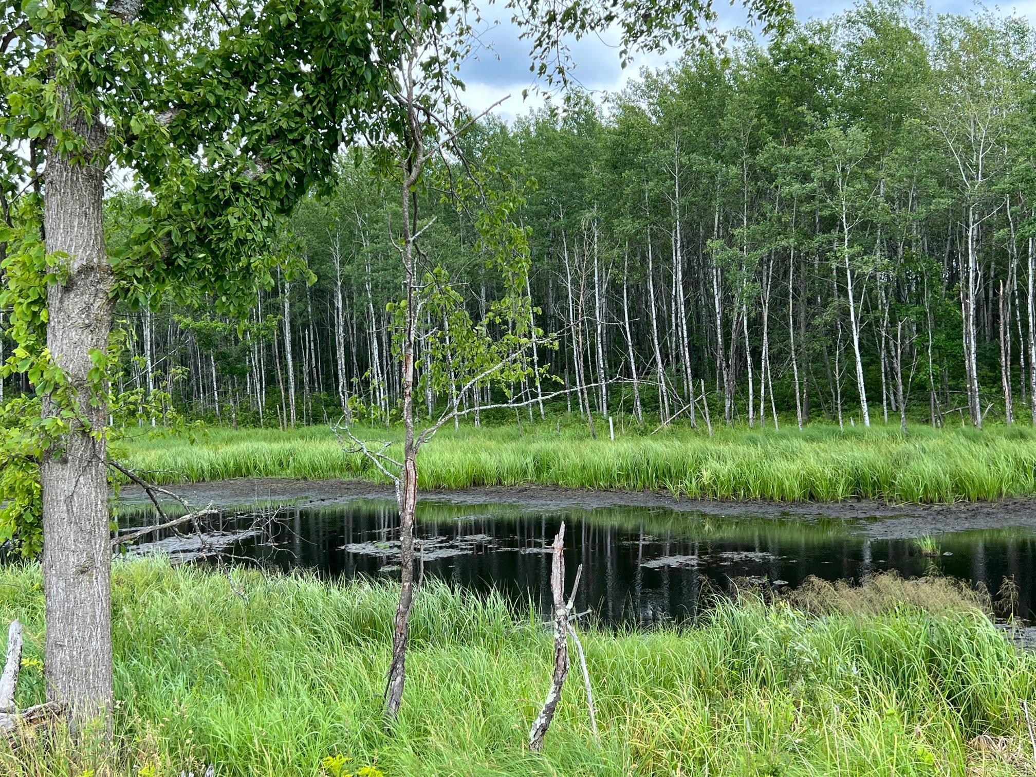 W37XX Frog Creek Road, Minong, Wisconsin image 17
