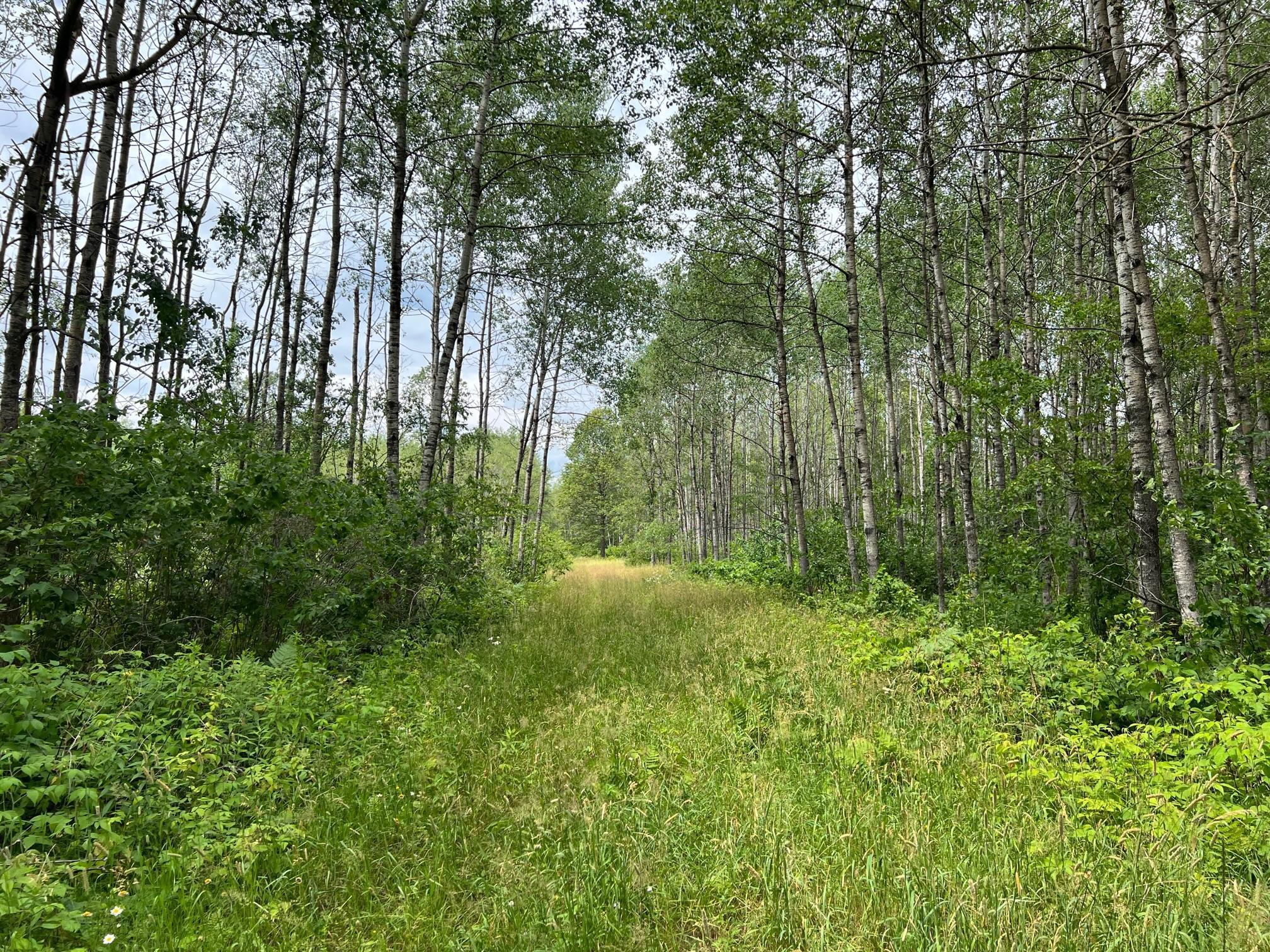 W37XX Frog Creek Road, Minong, Wisconsin image 2