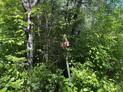 Vacant Land For Sale - 11703 Jacobs Road<br/> Saint Louis County, Orr, MN 55771