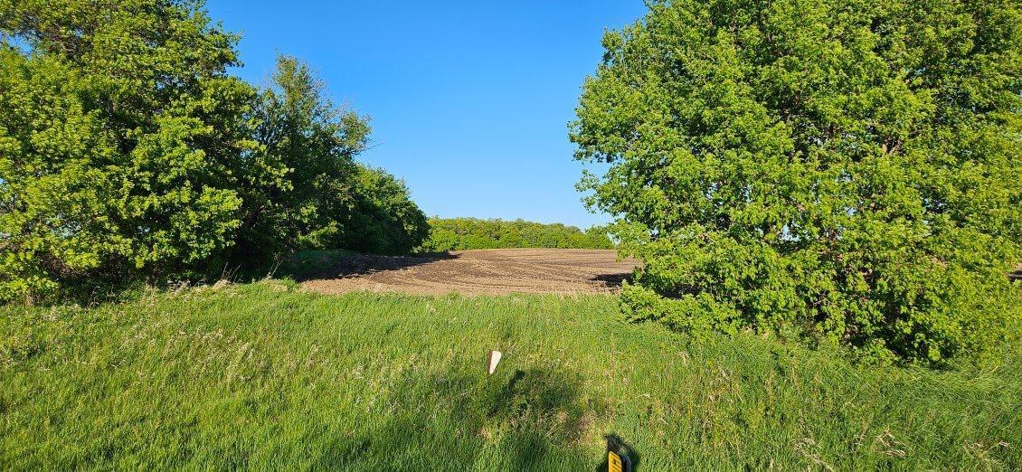 XXXX Co Rd 35, Miltona, Minnesota image 11