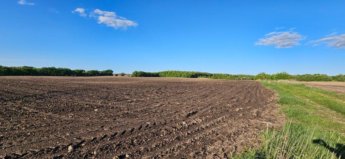XXXX Co Rd 35, Miltona, Minnesota image 5