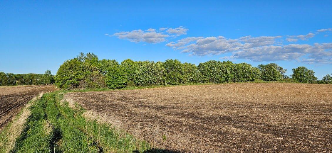 XXXX Co Rd 35, Miltona, Minnesota image 4