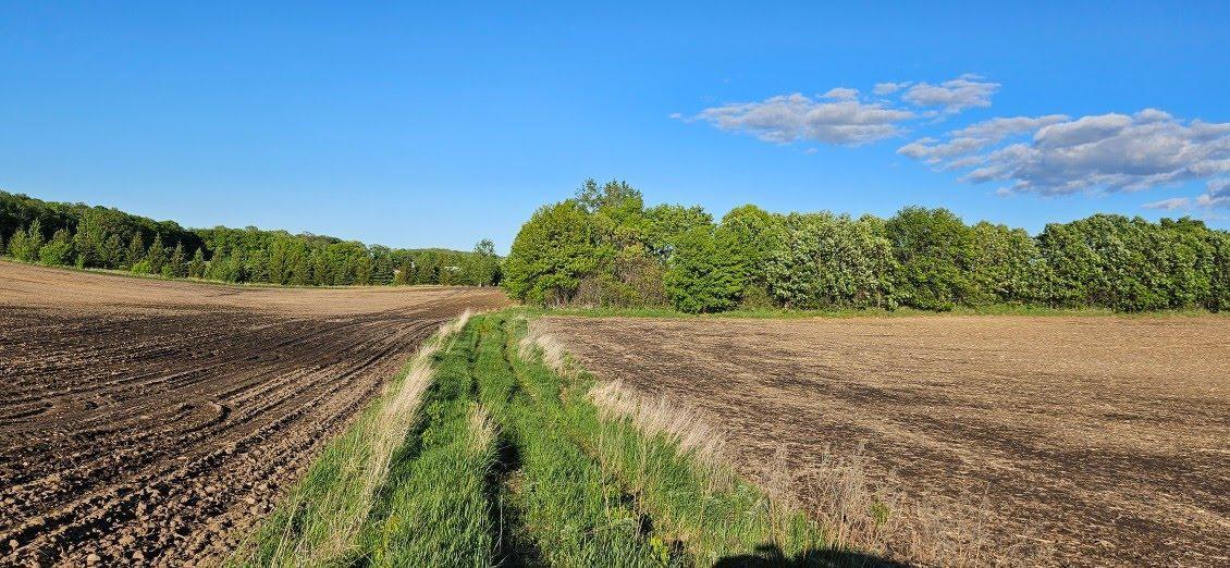 XXXX Co Rd 35, Miltona, Minnesota image 6