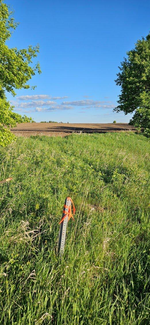 XXXX Co Rd 35, Miltona, Minnesota image 12