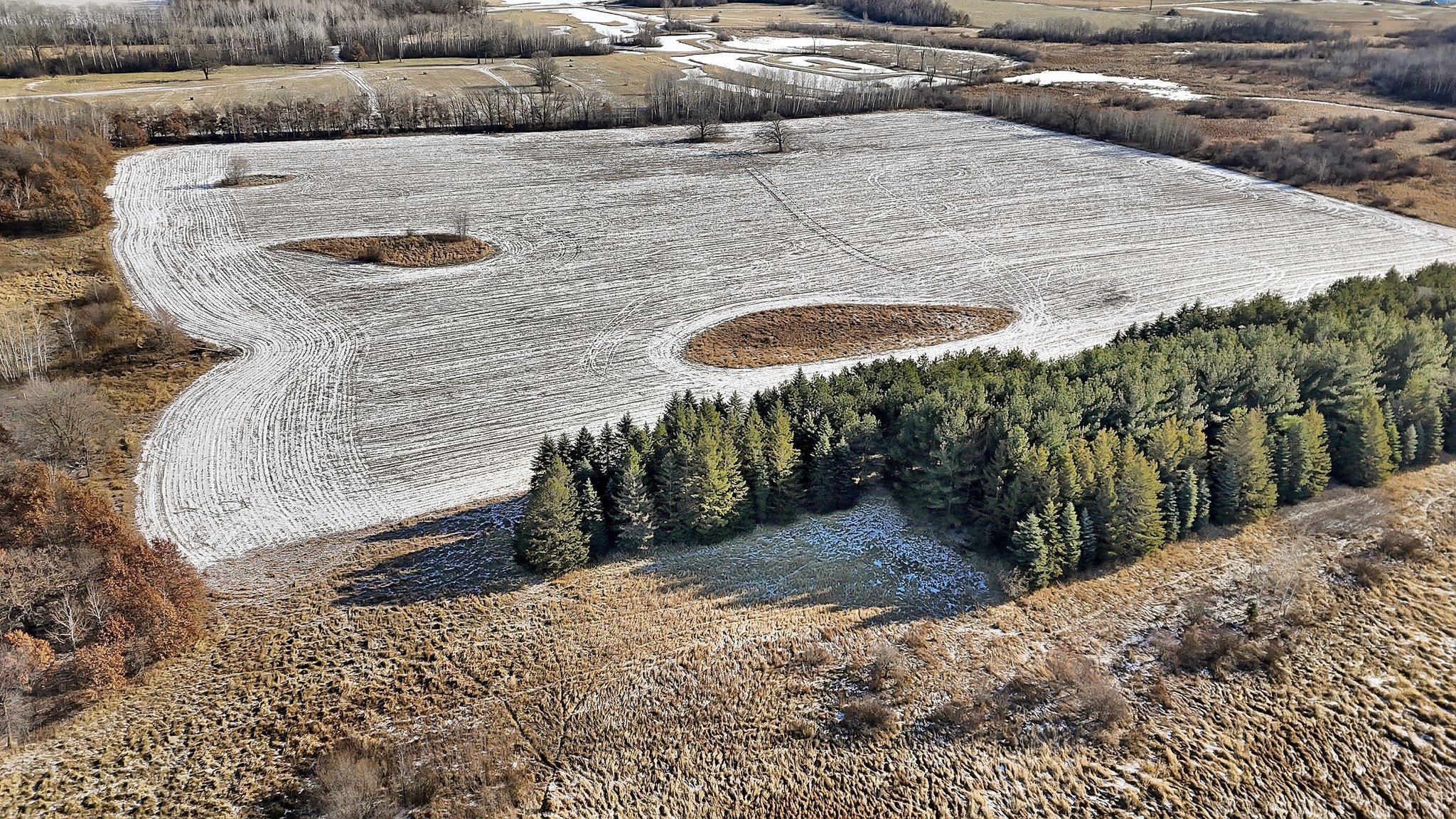 Xxxx Golden Spike Road, Rice, Minnesota image 9