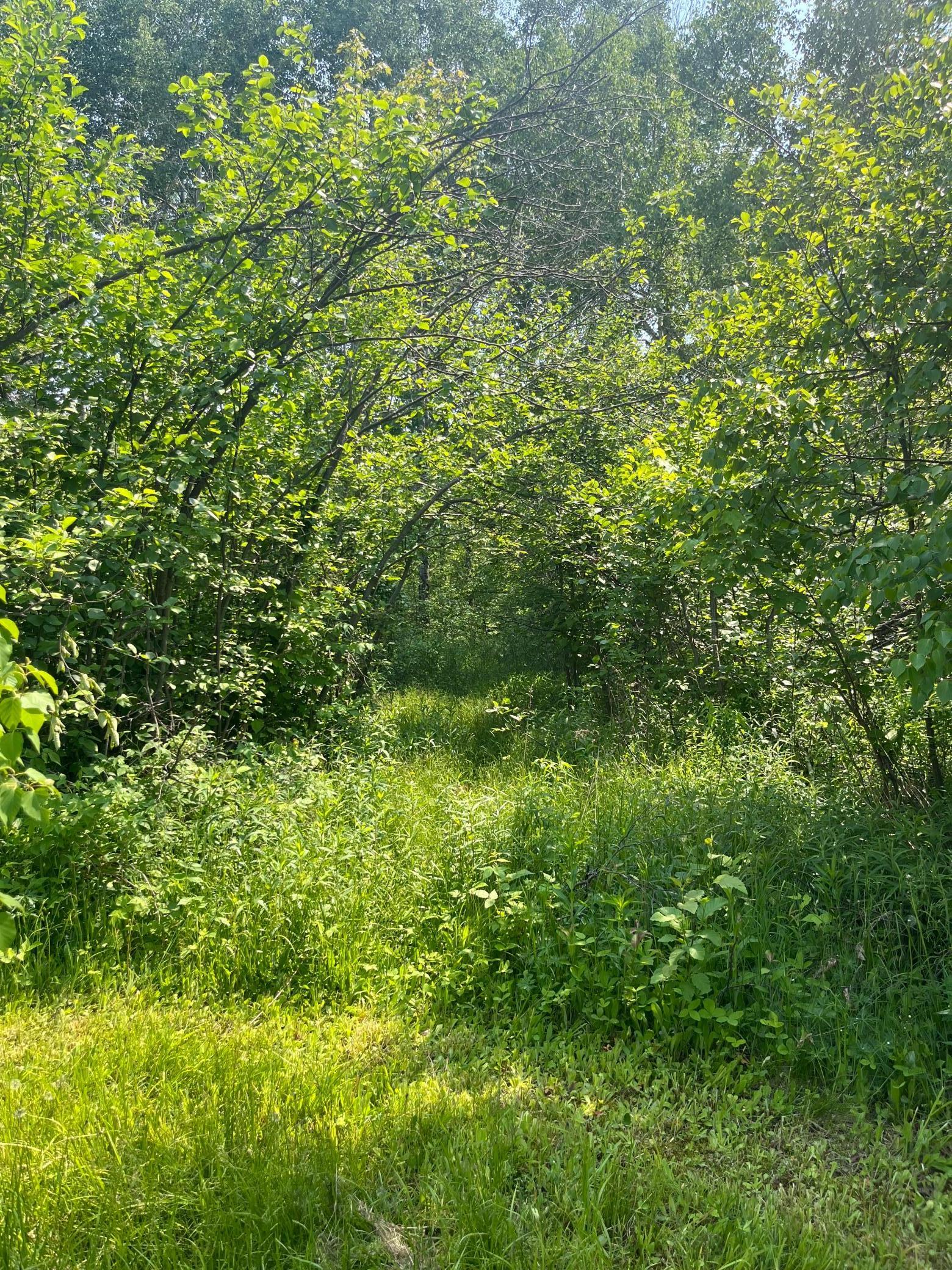 3967 Silver Road, Kettle River, Minnesota image 12