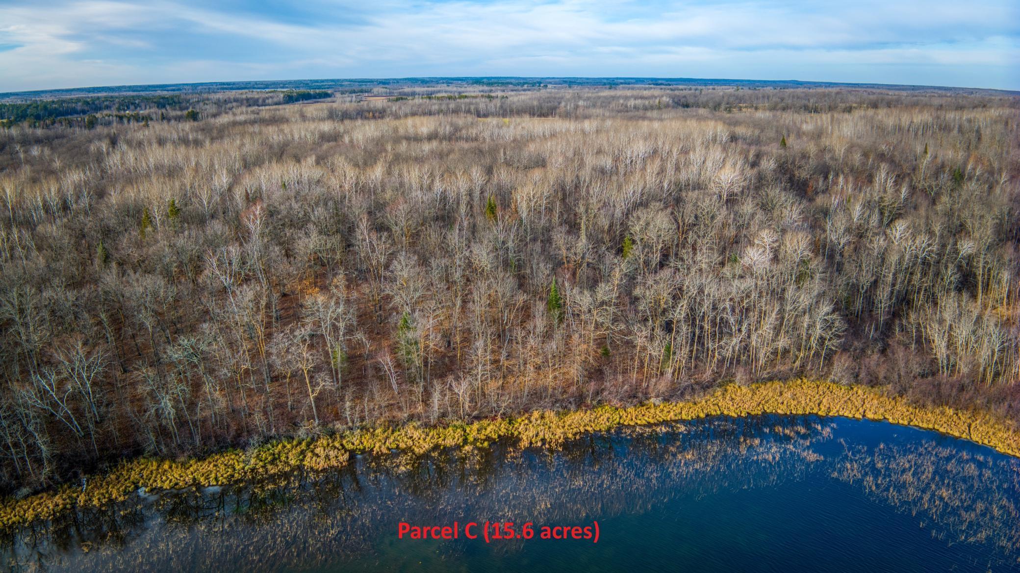 C Puposky Road, Bemidji, Minnesota image 1