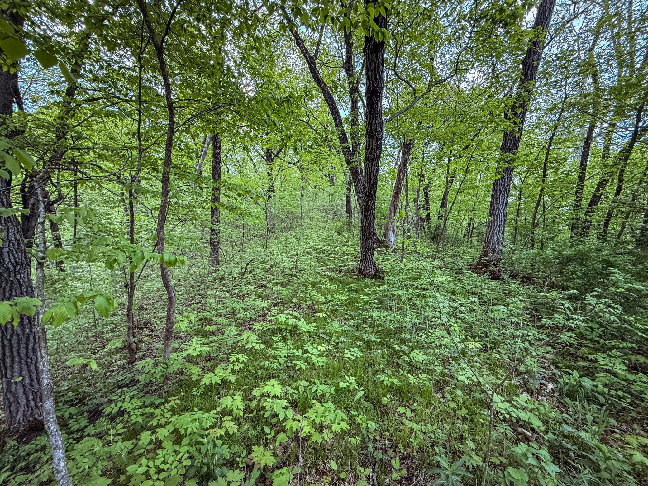 TBD 75th Street, Byron, Minnesota image 43